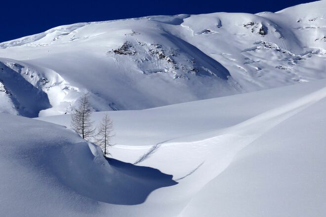 Natur pur