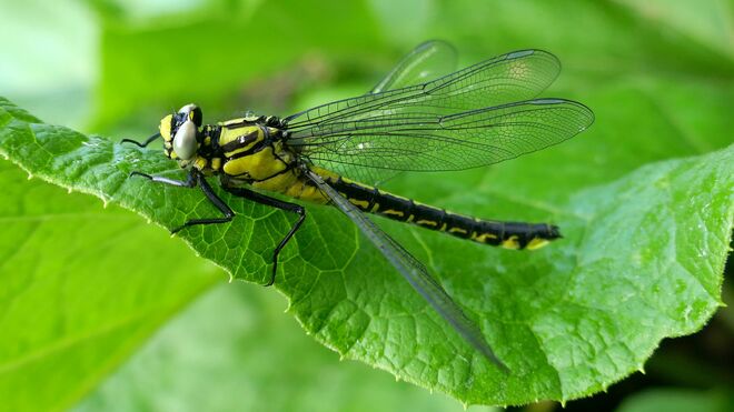 Vom Regen überrascht