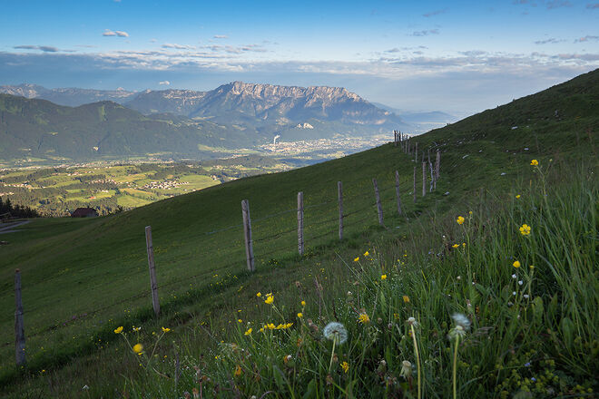 Der Almsommer beginnt auf der Trattberg-Alm