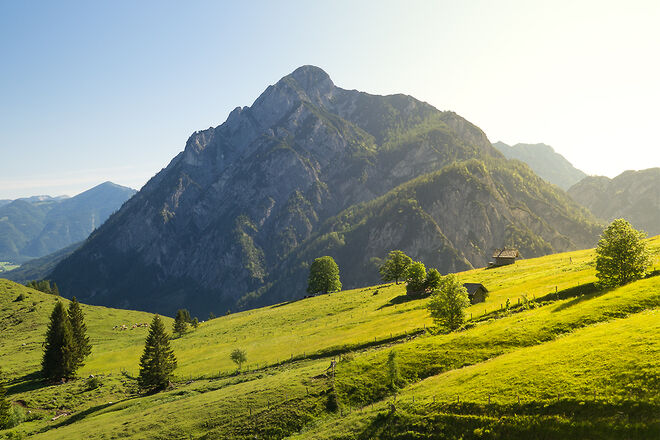 Morgenstunden auf der Postalm