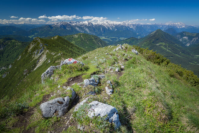 grandioser Ausblick vom Braunedel