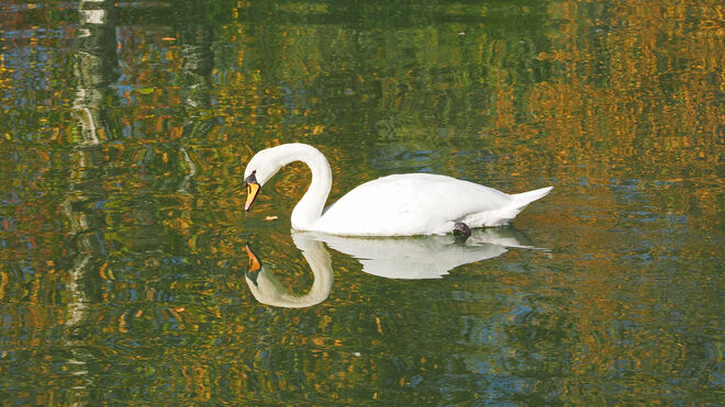 Spieglein, Spieglein an der Wand, wer ist ......?