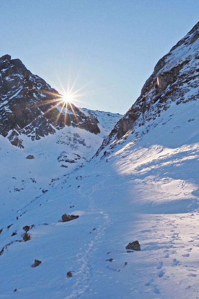 Der Sonne entgegen