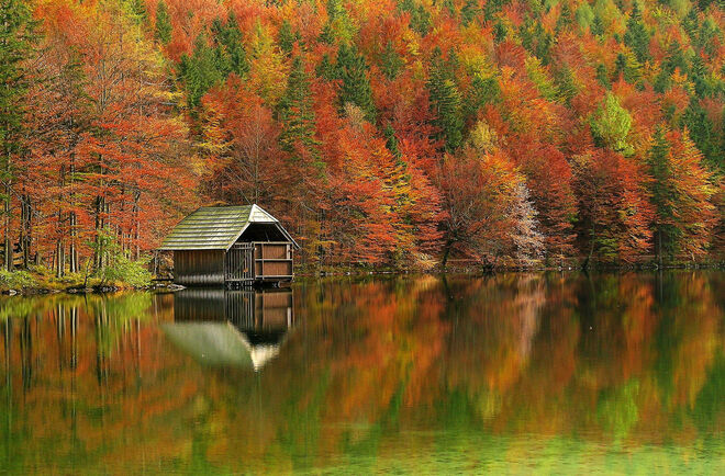 Herbstfeuer am Langbathsee
