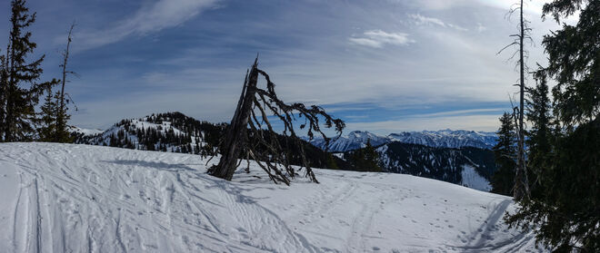 Am Weg zum Schneeberg