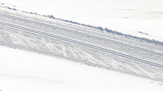 Spuren im Schnee