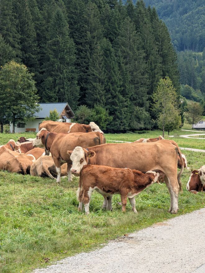 Mutterglück