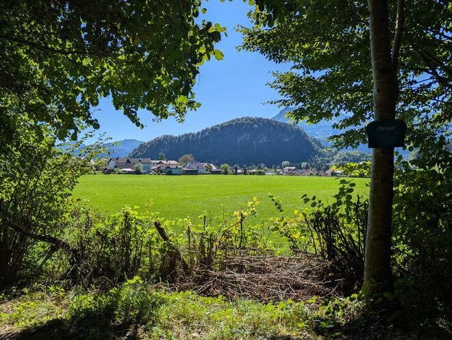 In der alten Heimat
