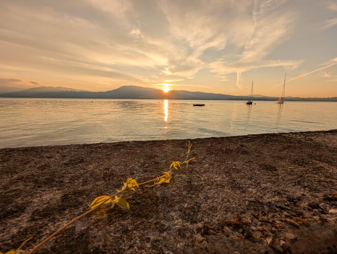 Staad is am See