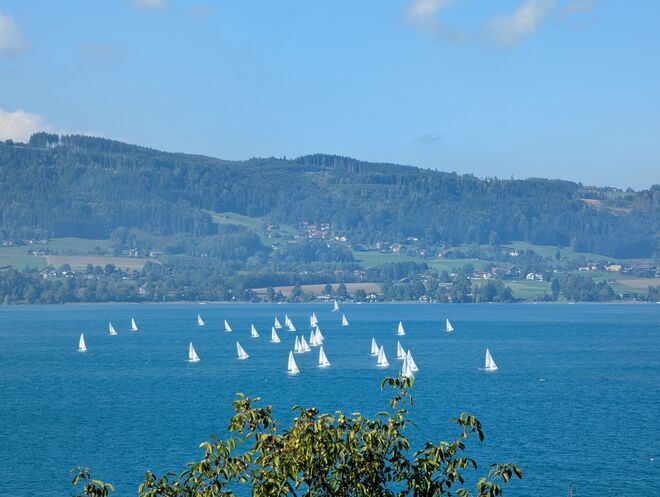 Ideales Segelwetter