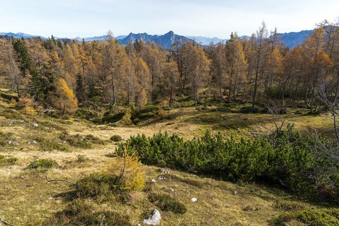 Spätherbst