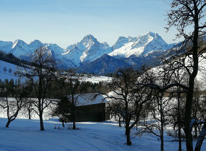 . . . ein hocherfreulicher Sonntag