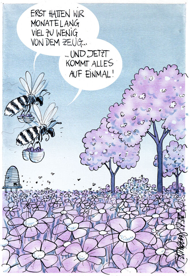 Probleme bei der Immstoffbeschaffung . . .