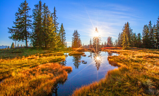 Sonnenstrahlen im Doppelpack