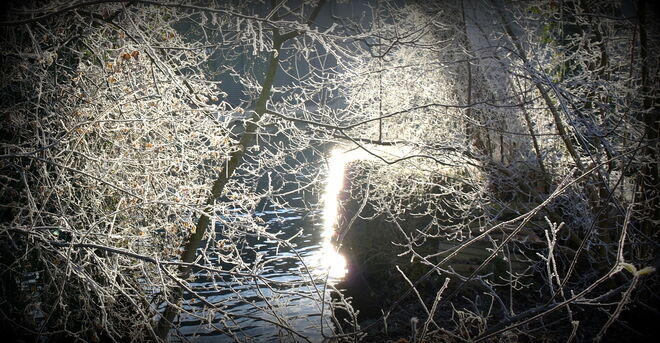 "LICHTBRECHUNG"