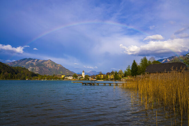 Regenbogen