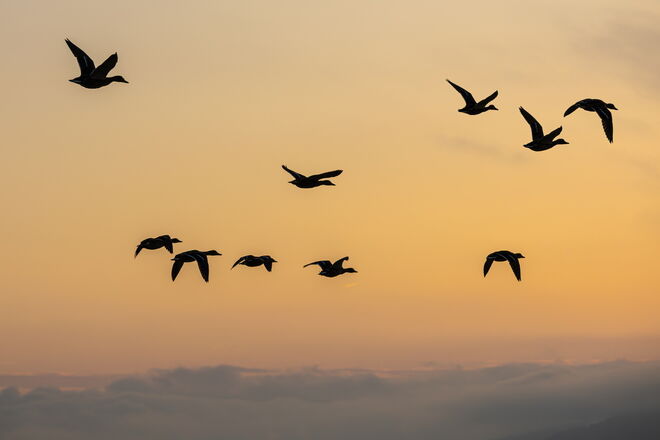 Herbstlicher Rundflug