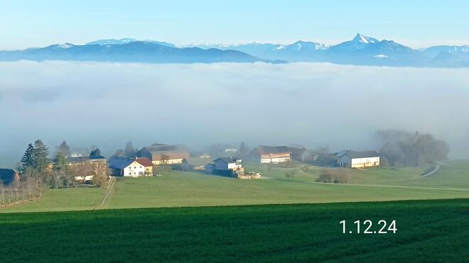 Nebellandschaft Flachgau