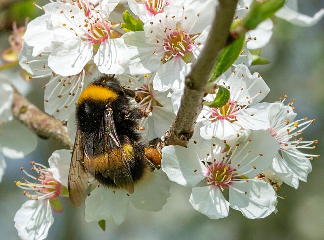 Frühstück vor dem Regen