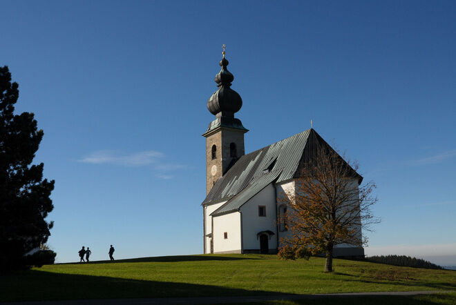 Sommerholz
