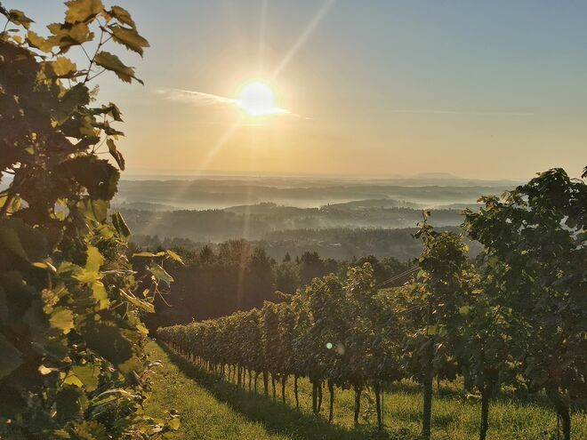 Schilcherland