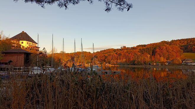 Schloss Mattsee