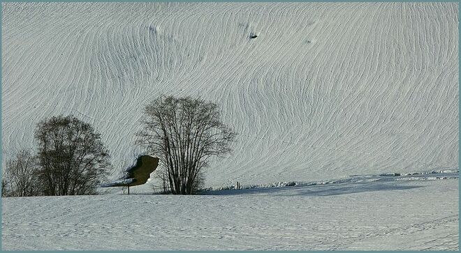 . . . dieser Schnee r i n n t