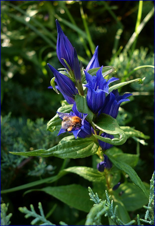 Beachtliche Turnübung