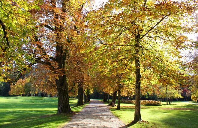 Herbstwanderung