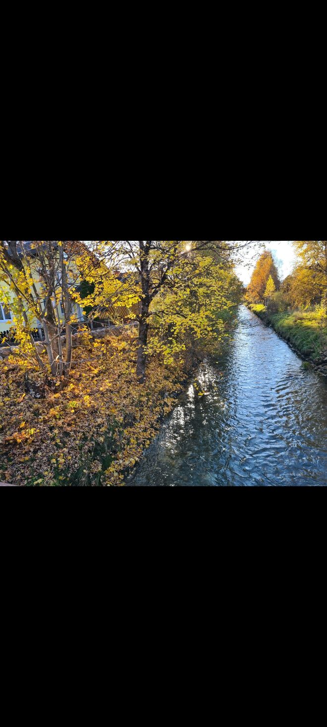 Weicher fließender Herbst