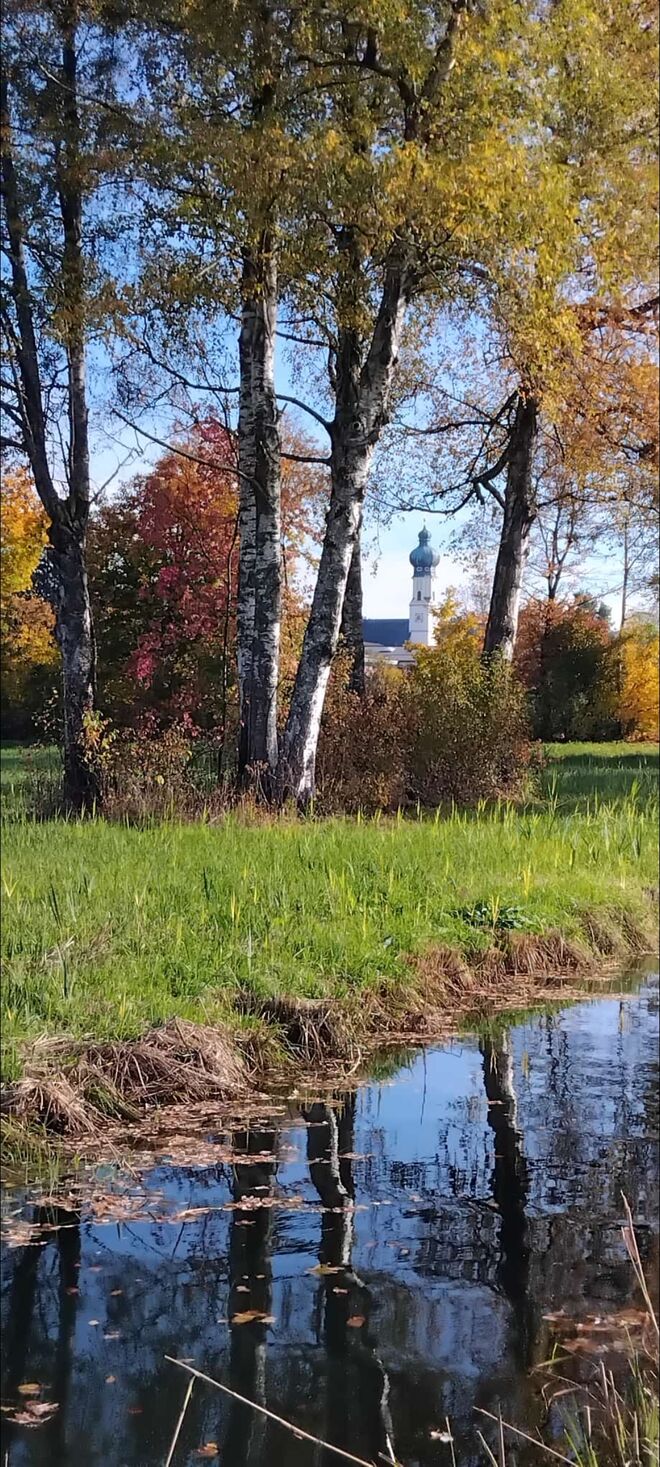 Wunderschöner Herbst