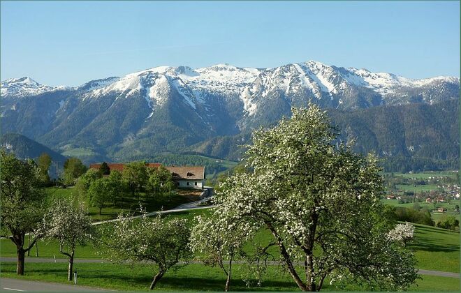 Blick aufs Sengsengebirge