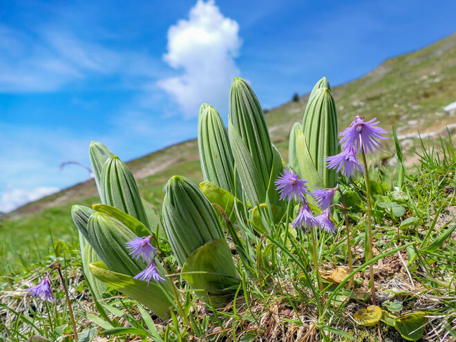 Frühlingsbeginn auf 1600 m Sh