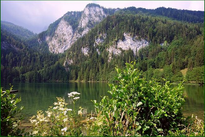 Sonne am halben Bild