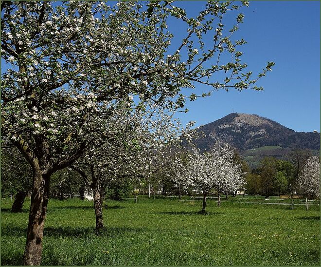 Sonnentag nach allen Richtungen