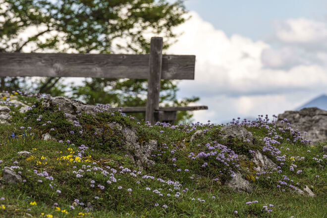 Spitzeck