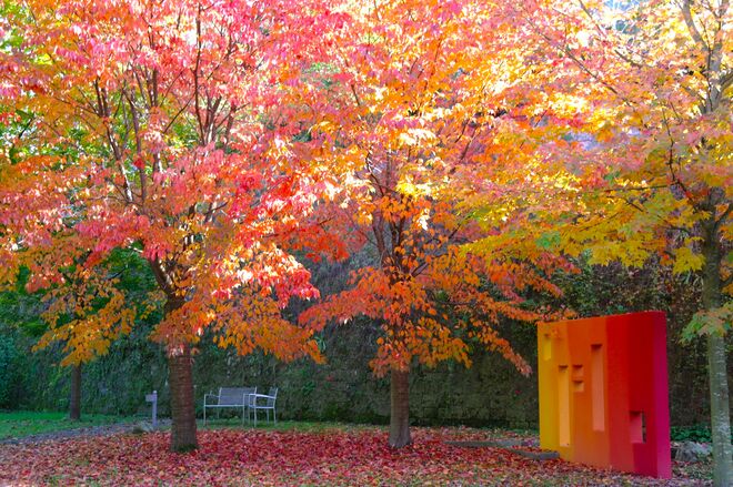 " HERBST IM PARK "