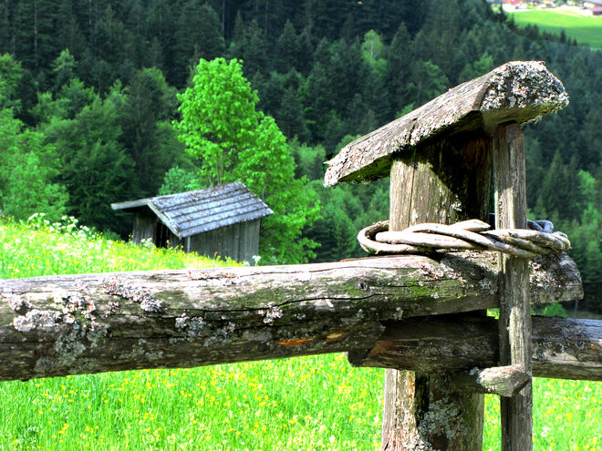 Zauntedail