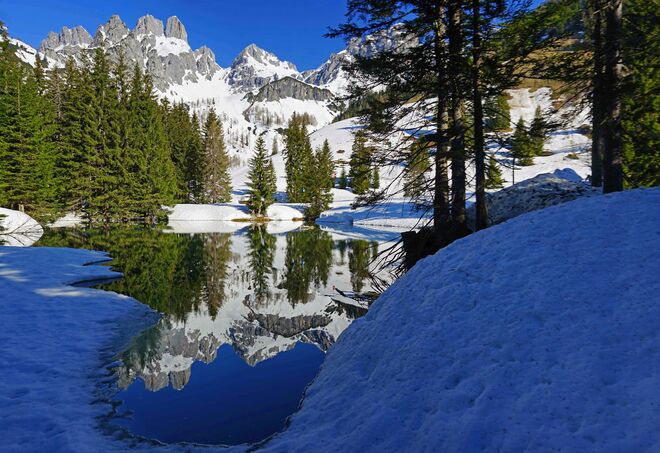 Almsee