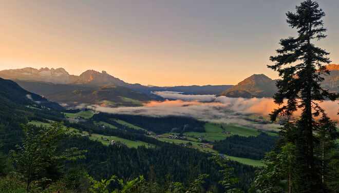 Früh Morgens