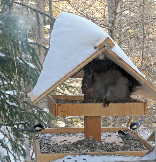 Alle haben Hunger.