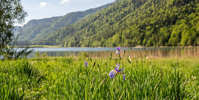 Vordersee