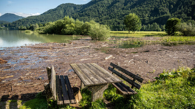 Treibholz am Vordersee