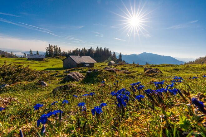 Vormaueralm