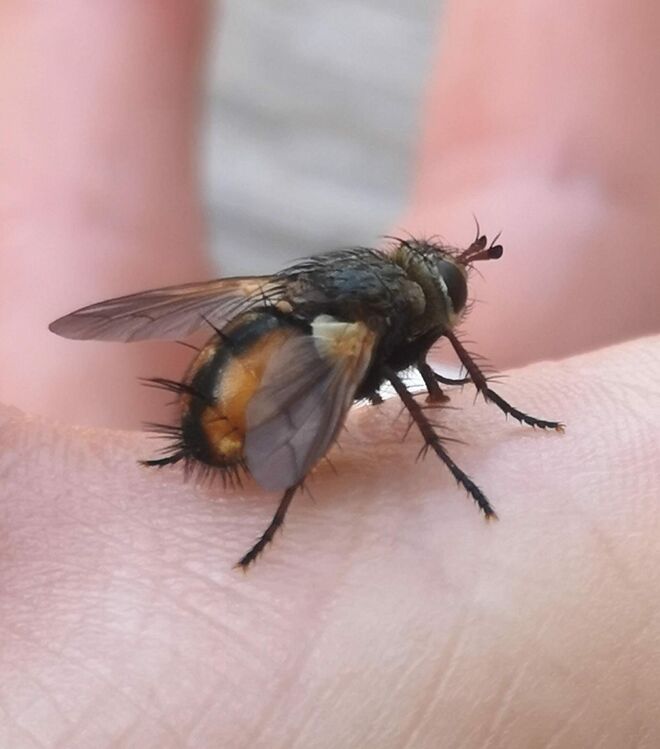 Flieger gelandet
