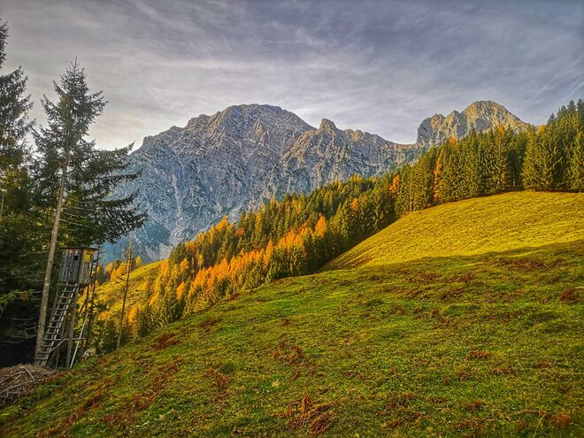 Leoganger Steinberge Birnhorn/Mitterhorn im Herbst