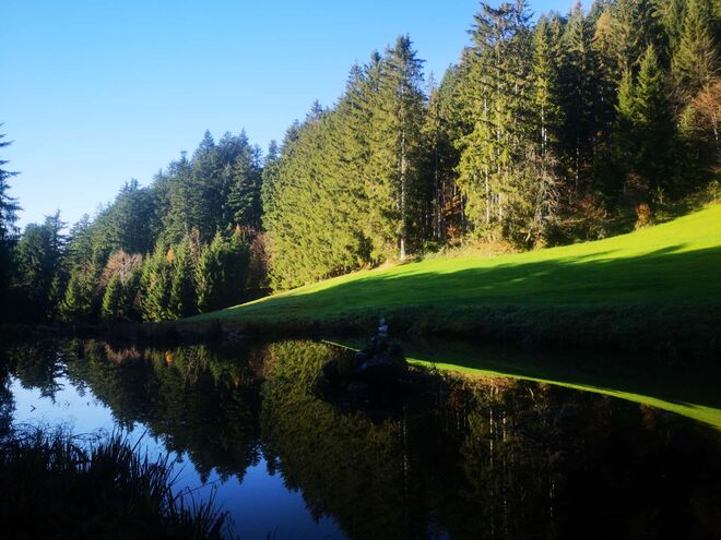 Bergsee mit Spiegelung