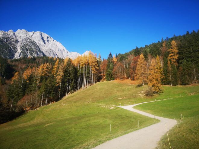 Die schönen Herbsttage genießen