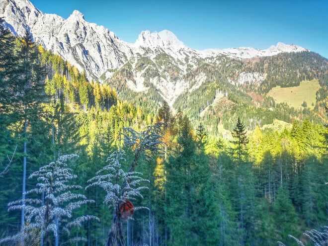 Pinzgauer Stilleben im Herbst