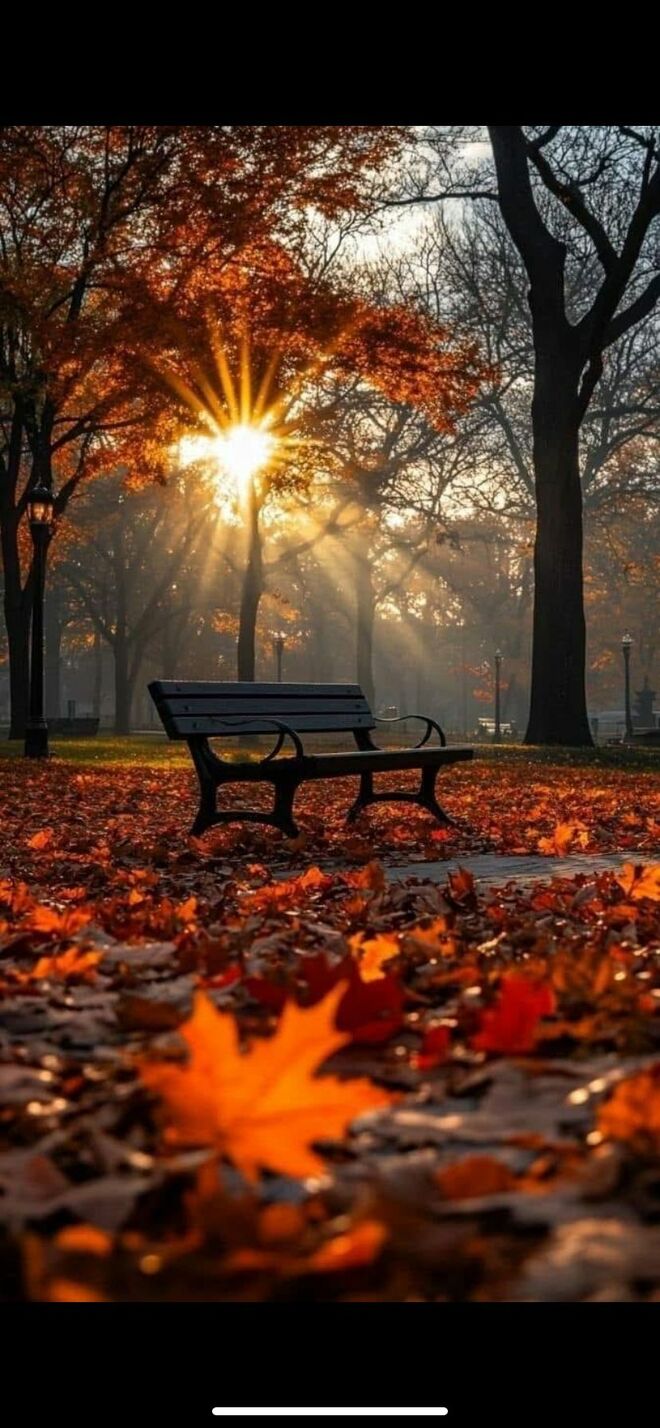 letztes Herbstlicht - mild und farbig